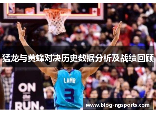 猛龙与黄蜂对决历史数据分析及战绩回顾